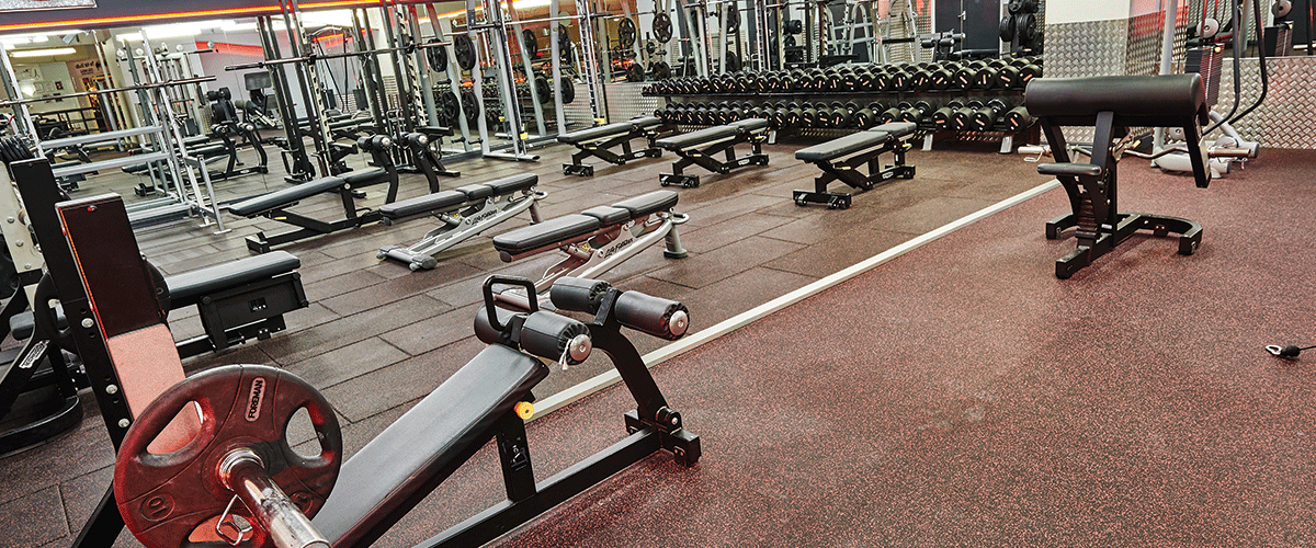 Phase 2 Gym